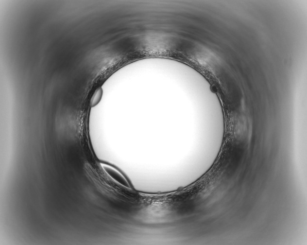 X0000087040495200705021139