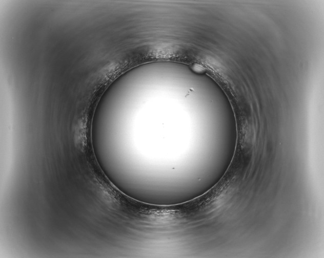 X0000087040497200705021139