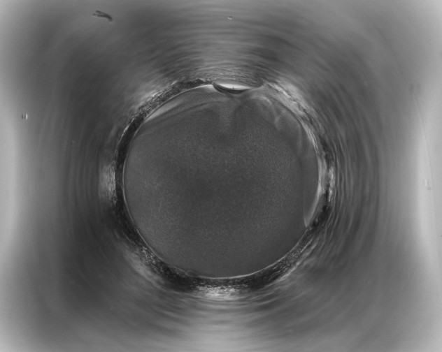 X0000087040500200705021139