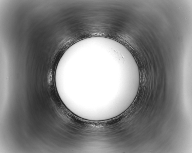 X0000087040502200705021139