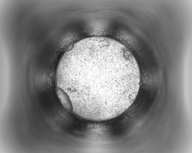 X0000087040503200705021139