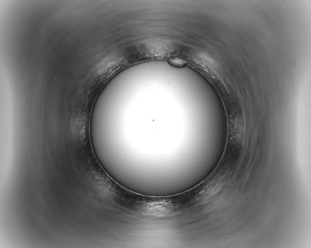 X0000087040505200705021139