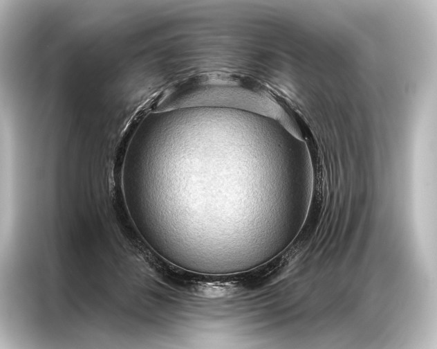 X0000087040508200705021139