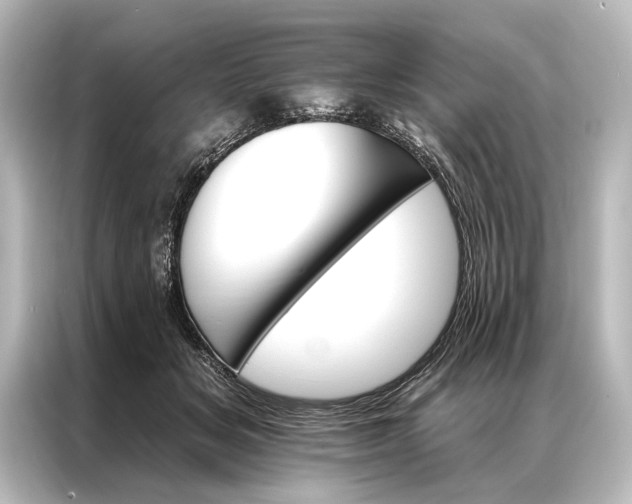 X0000087040509200705021139