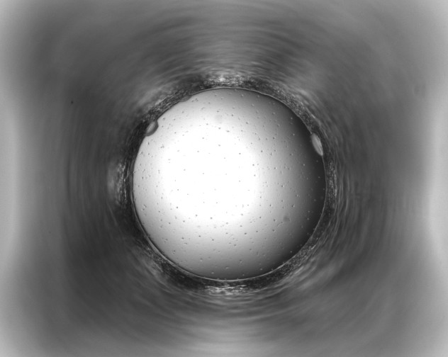 X0000087040511200705021139