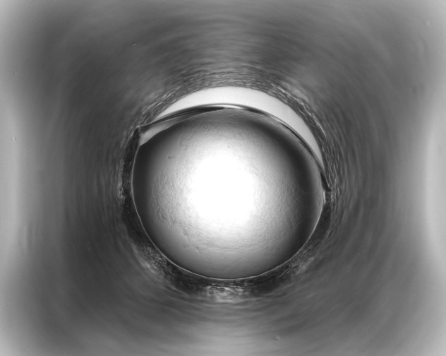 X0000087040512200705021139
