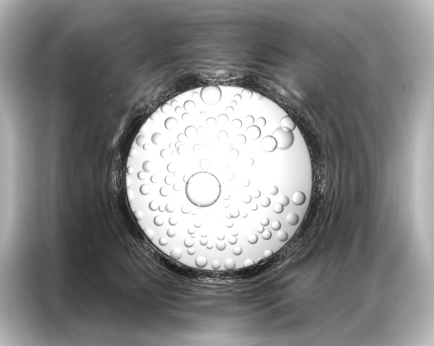 X0000087040515200705021139