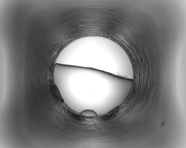 X0000087040516200705021139