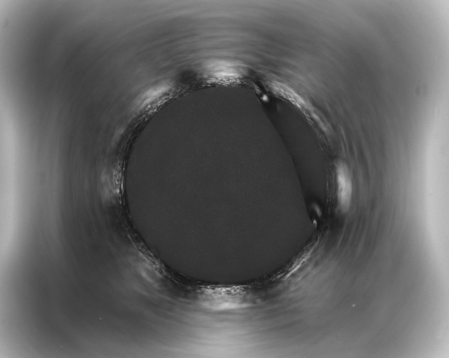 X0000087040517200705021139