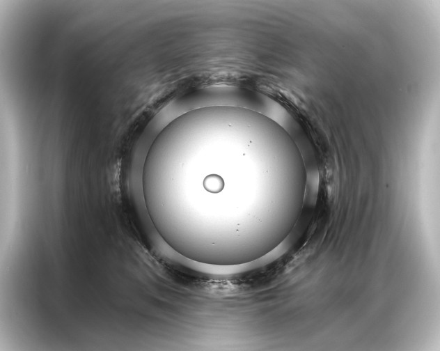 X0000087040519200705021139