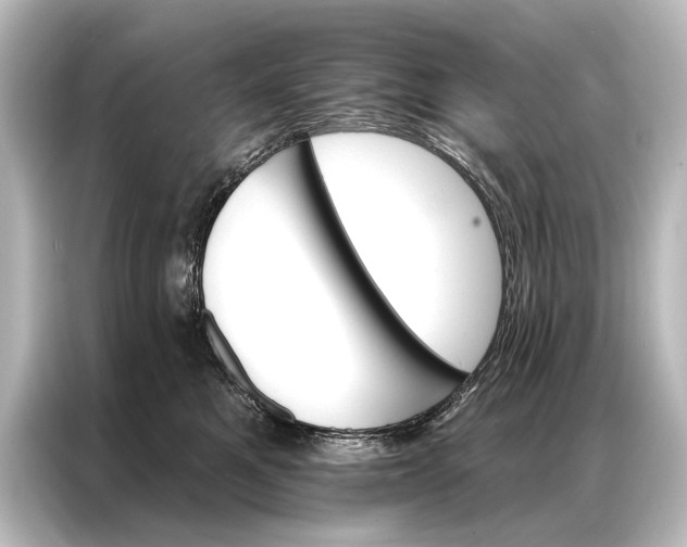 X0000087040521200705021139