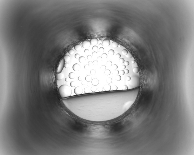 X0000087040523200705021139