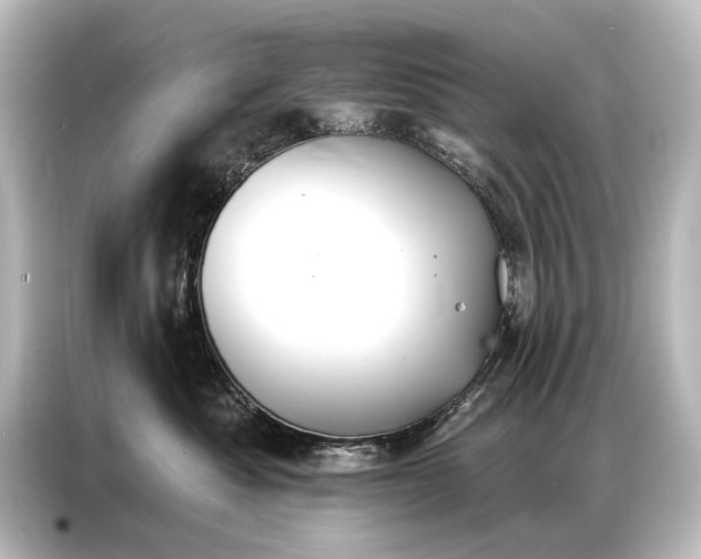 X0000087040525200705021139