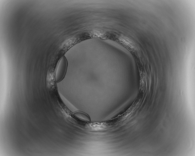 X0000087040526200705021139