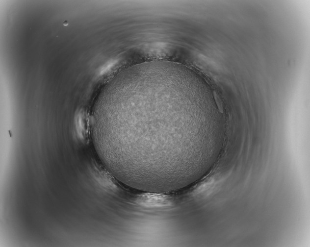 X0000087040528200705021139