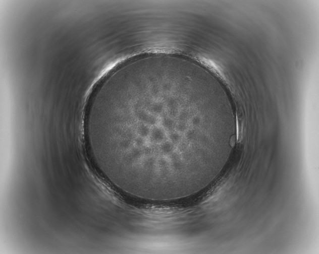 X0000087040531200705021138