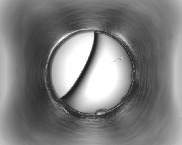 X0000087040532200705021138