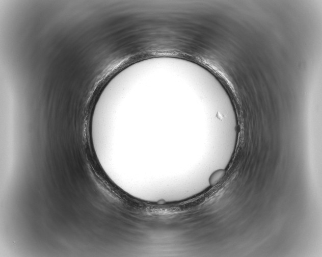 X0000087040533200705021138