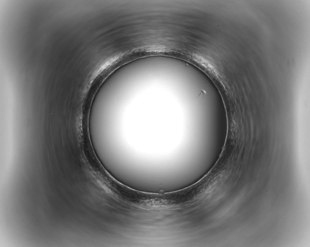 X0000087040535200705021138