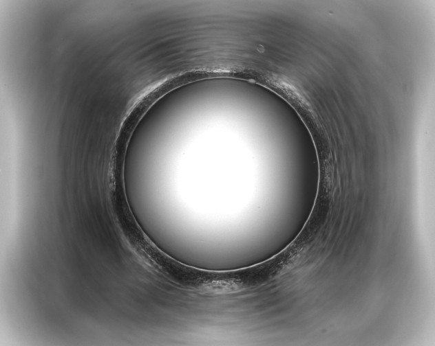 X0000087040536200705021138