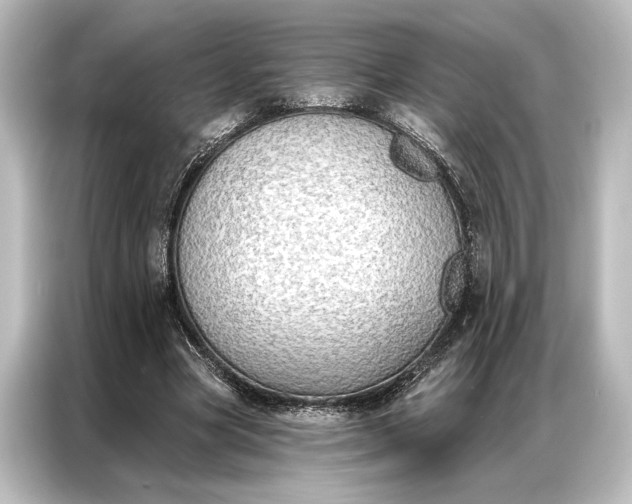 X0000087040537200705021138