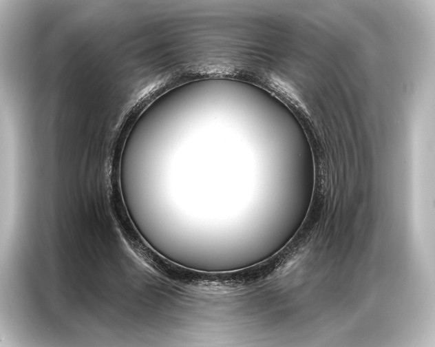 X0000087040538200705021138