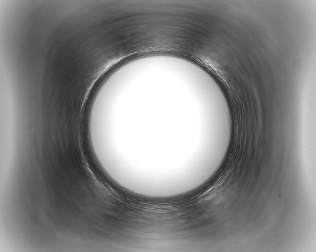 X0000087040540200705021138