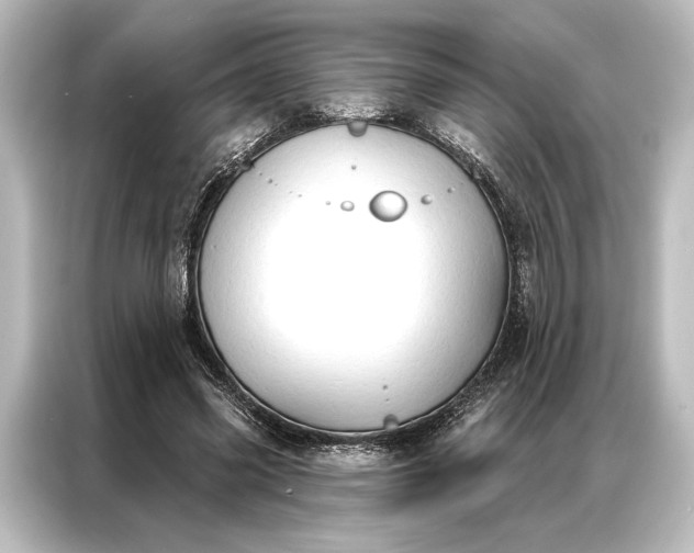 X0000087040541200705021138
