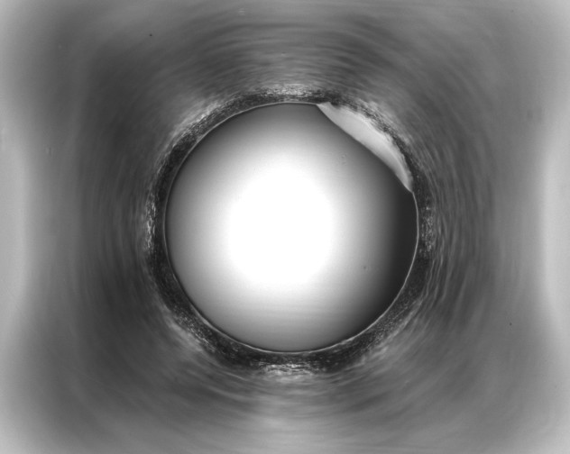 X0000087040544200705021138