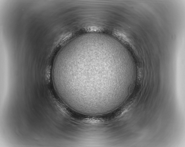 X0000087040545200705021138