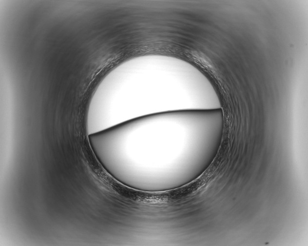 X0000087040546200705021138