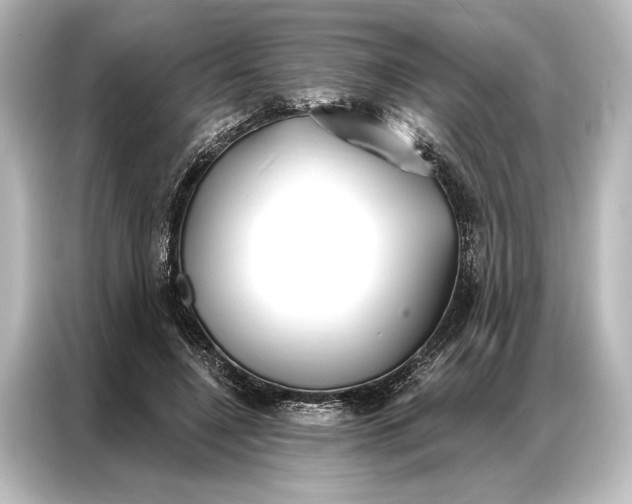 X0000087040548200705021138
