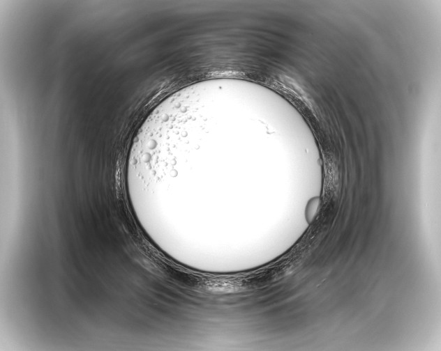 X0000087040549200705021139