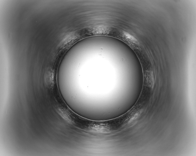 X0000087040550200705021139