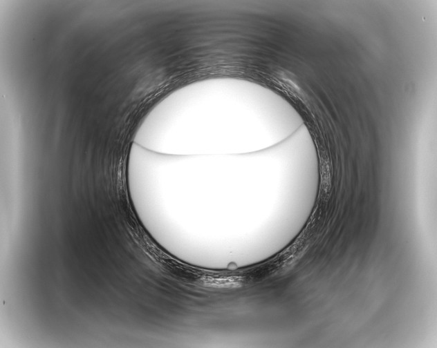 X0000087040553200705021139