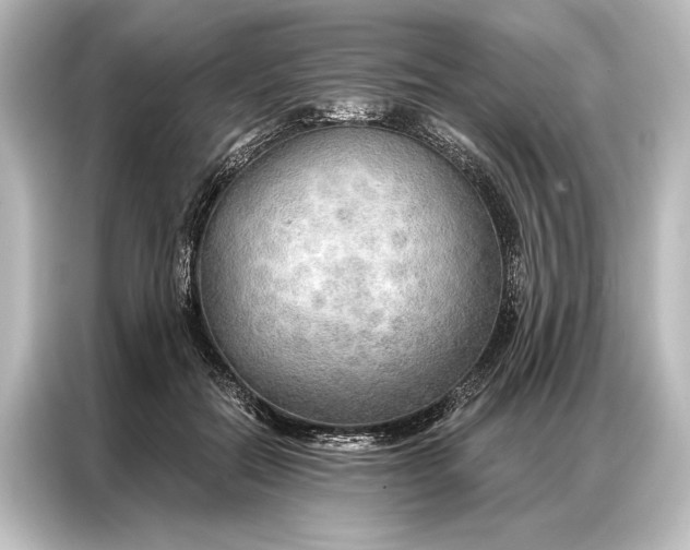 X0000087040554200705021139