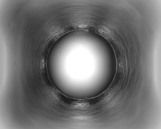 X0000087040555200705021139