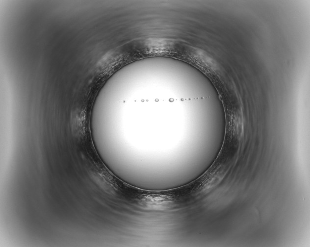 X0000087040557200705021139