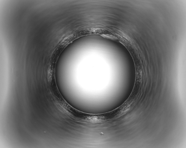 X0000087040558200705021139