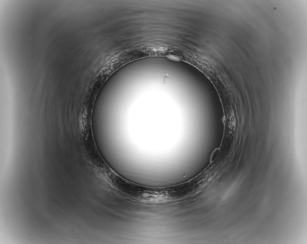 X0000087040559200705021139