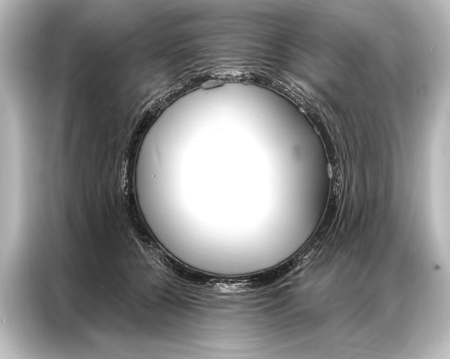 X0000087040560200705021139