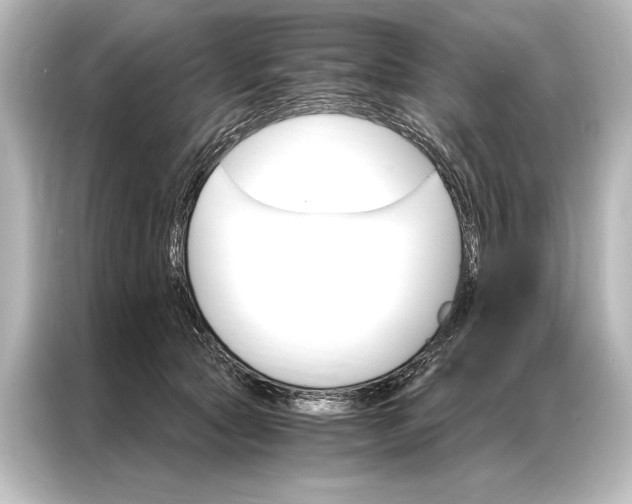 X0000087040561200705021139