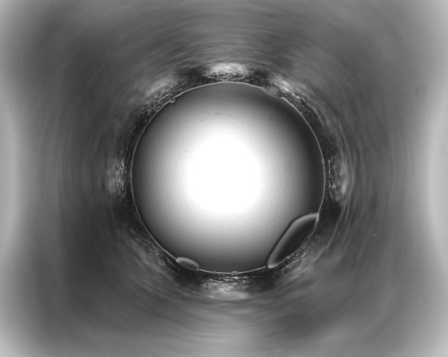 X0000087040563200705021139