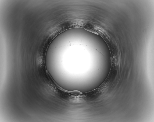 X0000087040564200705021139