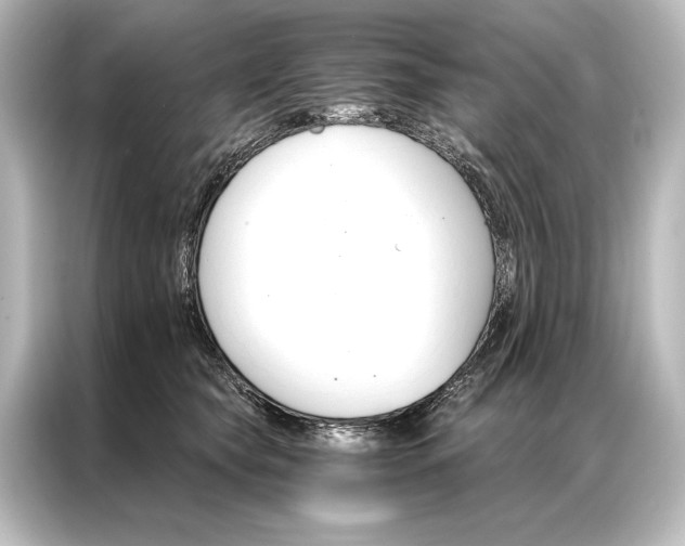 X0000087040565200705021139