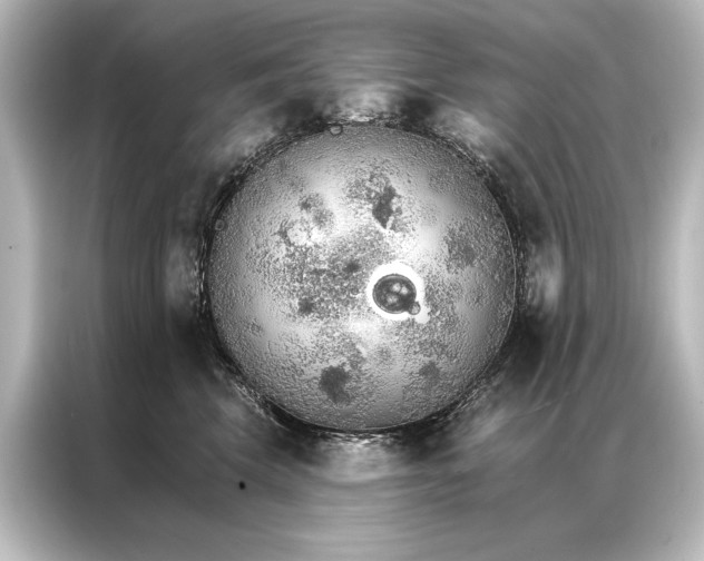 X0000087040569200705021139