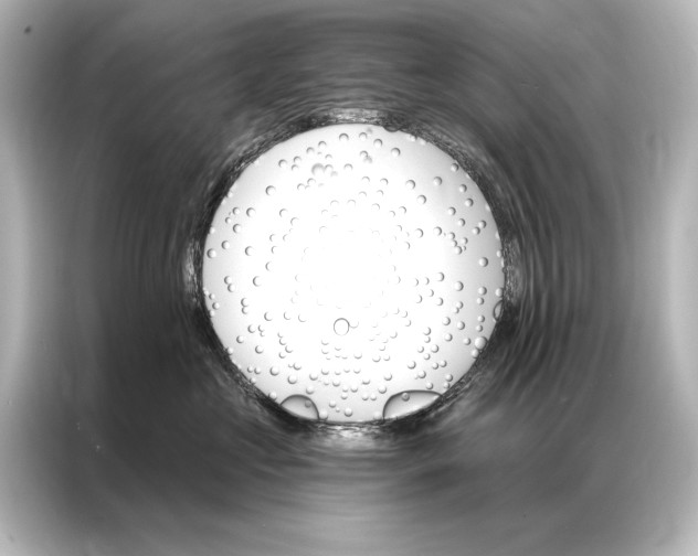 X0000087040573200705021139