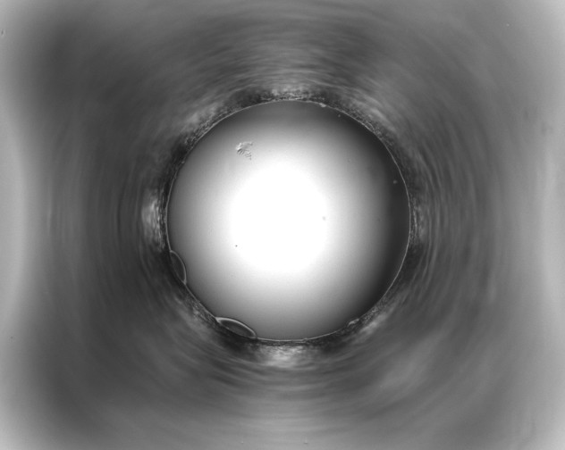 X0000087040575200705021139