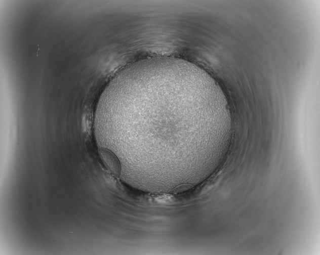 X0000087040576200705021139