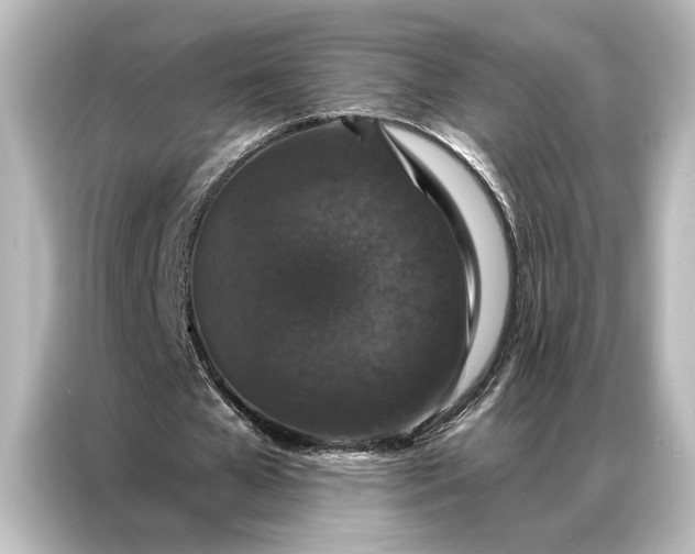 X0000087040577200705021138